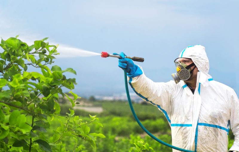 Fumigation Service in Long Island, NY