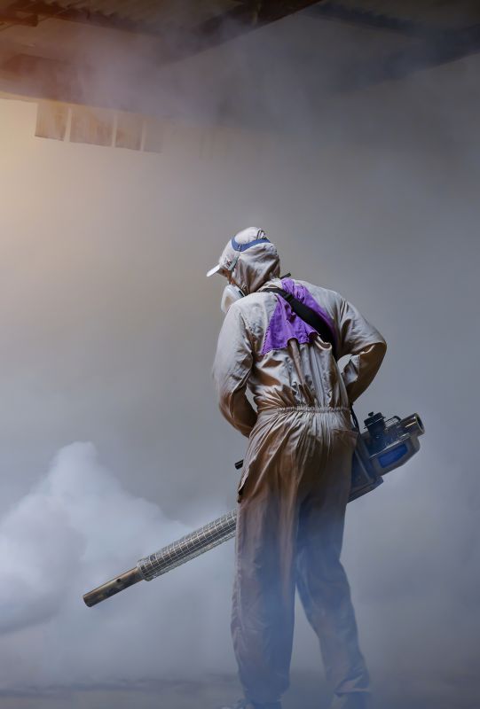 Pest Fumigation Service in Katy, TX