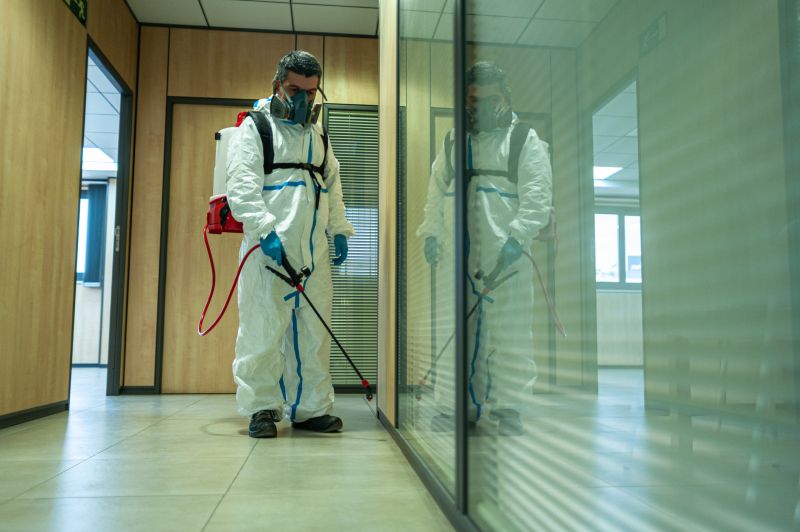 Rat Fumigation Service in Phoenix, AZ