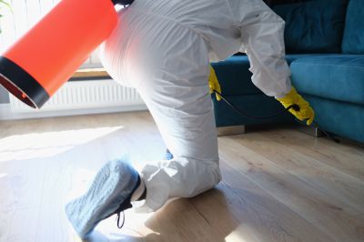 Roach Fumigation in Marietta, GA