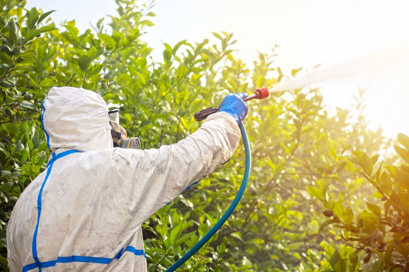 Spider Fumigation Service in Ann Arbor, MI