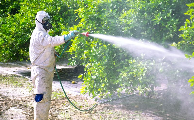 Pest Fumigation Service in Lafayette, LA
